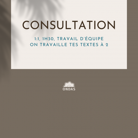 Consultation rédaction de site web